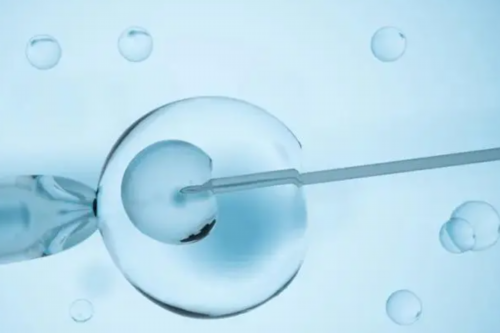 见证！南京代孕是违法的吗＂敲竹杠＂