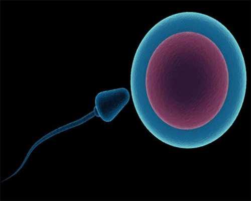 卵泡15x13成功怀孕的诀窍？坚持喝黑豆豆浆之后居然怀孕了？-助孕试管机构