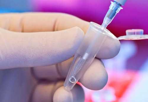 热议！供卵试管能避免遗传吗＂美人计＂