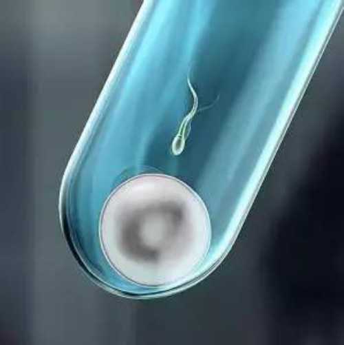 地下试管婴儿实验室设备有哪些