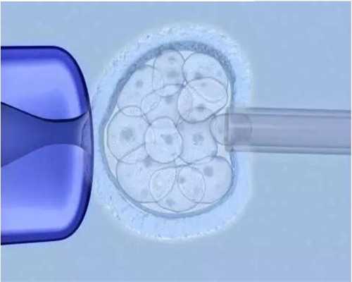 热议！明星代孕和月嫂＂捋虎须＂