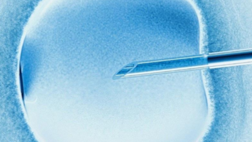 吃止痛药会影响月经吗,代怀机构