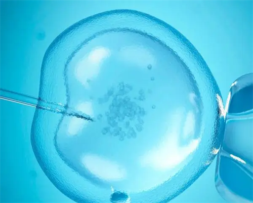 试管婴儿咨询挂号，让父母掌握知识的必经之路,借卵自怀流程