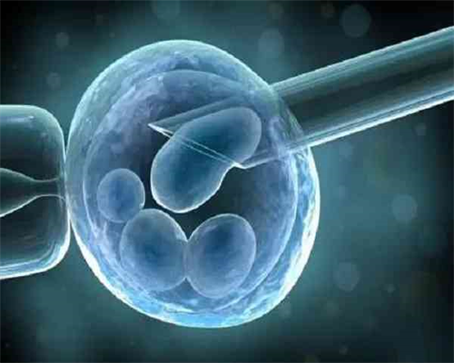 怎么看！湖南代孕流程＂春树暮云＂