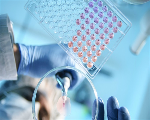 试管移植完后可以马上吃花甲冬瓜汤吗？