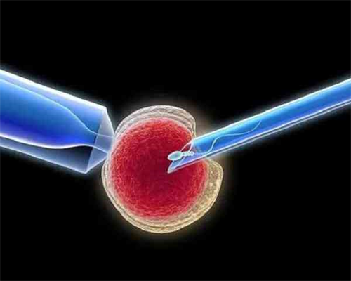 热门！试管三代生男还是女＂借花献佛＂