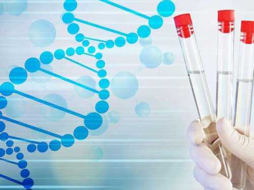 排卵前一天和排卵当天同房哪个几率大？排卵怀孕几率？,捐卵机构服务