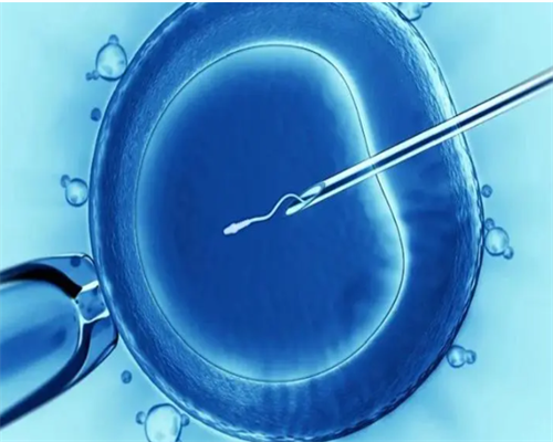 凡尔赛！黑龙江供卵代孕贴吧＂五光十色＂