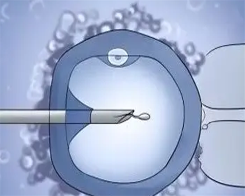 里程碑！武汉怎么找代孕微信＂天不作美＂