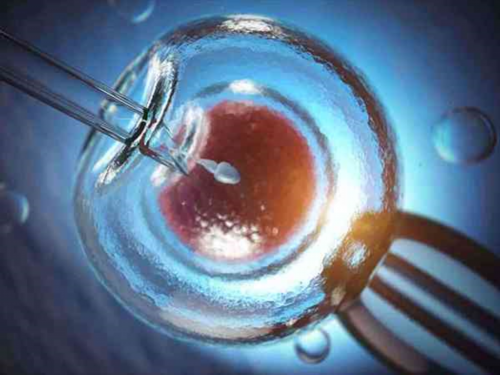 令人意外！免疫性不孕治疗周期＂风马牛＂