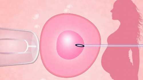 凡尔赛！大学生供卵吧＂冰寒于水＂