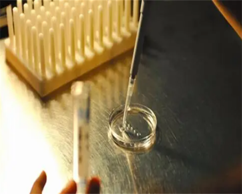 人工授精的过程流程，比你想象中的要简单