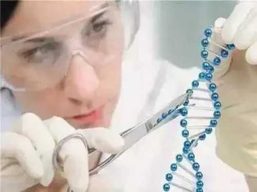 2026年做试管婴儿可以报销费用吗？不孕检查有哪些？