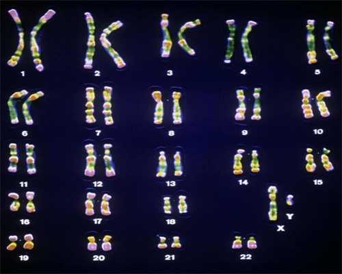 贵阳子宫肌瘤手术后饮食：做子宫肌瘤手术后饮食注意什么