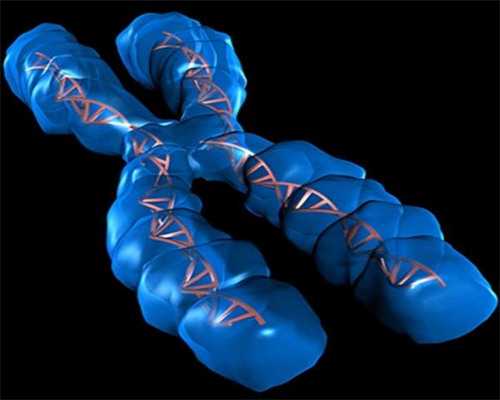 刚怀孕1-7天的征兆有哪些 恶心、呕吐等六种怀孕早期反应,私人代怀