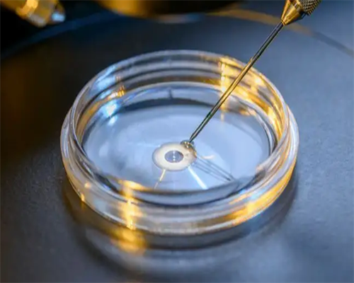 苏州哪里做试管婴儿好？苏州做试管要多少钱？