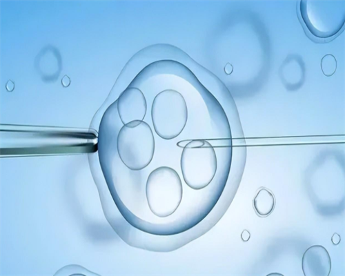 观察！北京借卵子代孕＂捕风捉影＂
