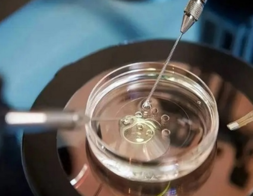 再拖就太迟了！子宫腺肌症做试管要趁早！