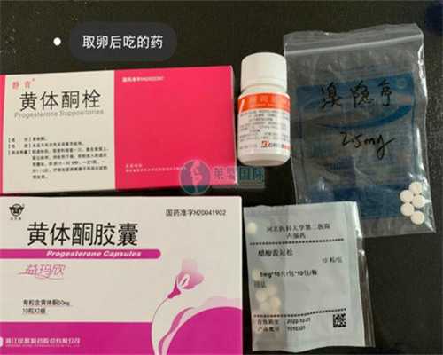 怀孕多久做nt-三代试管助孕