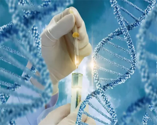 先天子宫纵隔会影响试管婴儿成功率