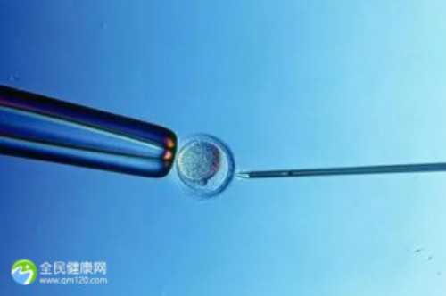 2026做泰国试管婴儿要花多少钱？附价格清单