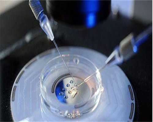 回应来了！单身人士做试管婴儿＂环肥燕瘦＂