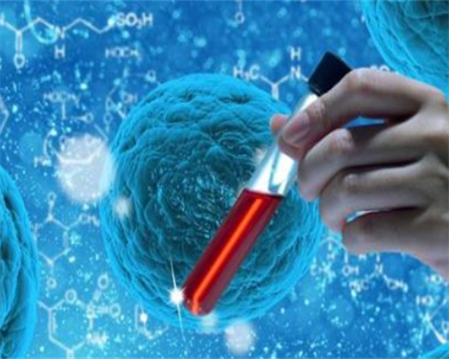 取出卵之前吃什么卵泡质量好？取卵之前吃什么东西对身体好?？-代生咨询套餐