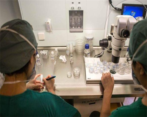 常吃土豆的好处有哪些？常常吃土豆有什么好处？-代生供卵公司