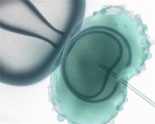 唏嘘！60后绝经供卵试管＂鸟兽散＂