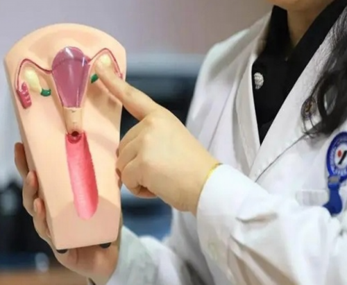 四维彩超判断胎儿性别怎么看最准？-包男孩代怀