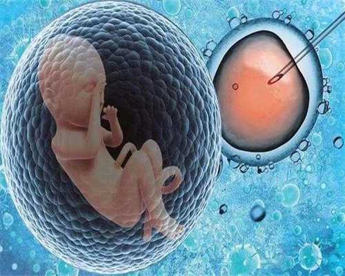 胆囊结石会不会影响做试管？胆囊结石严不严重？-供卵试管价格