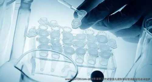 排卵期前2天怀孕几率-排卵前两天同房怀孕几率有多大-专业代生公司