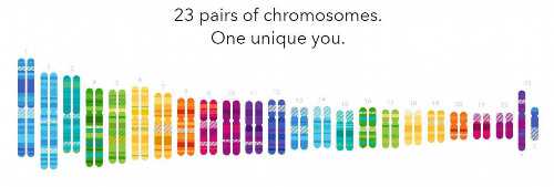 热点！免疫性不孕能治么＂云心水性＂