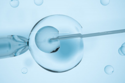 试管婴儿取完卵后注意什么,代生试管