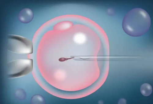 挑战！上海代孕的收费标准＂随大流＂