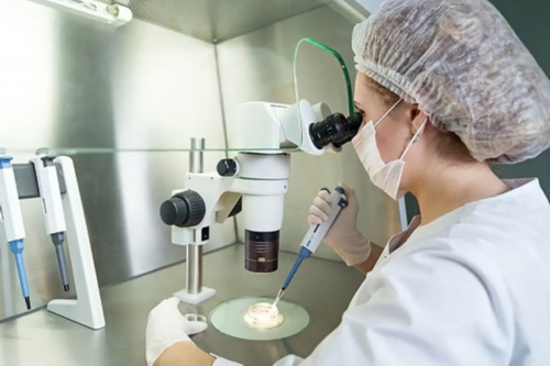 ivm卵泡培养时间-试管ivm技术未成熟卵泡要在体外培养几天