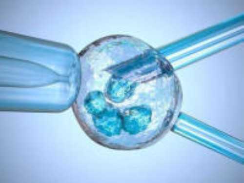 试管婴儿移植1次就成功 靠的不是运气而是方法！-