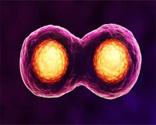 熊猫血做试管婴儿：供精与溶血风险解析 2026版-试管代生儿子