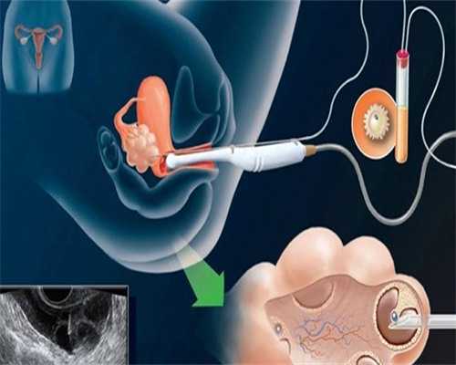 分享！代孕中心藏身闹市＂清一色＂