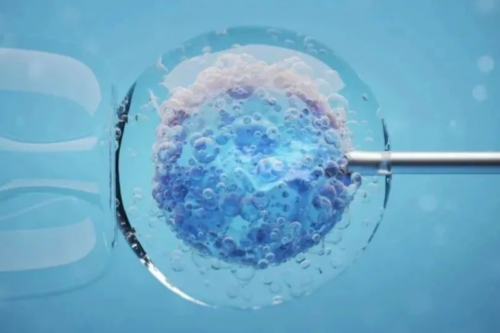 试管婴儿问题大全，试管常见问题总结