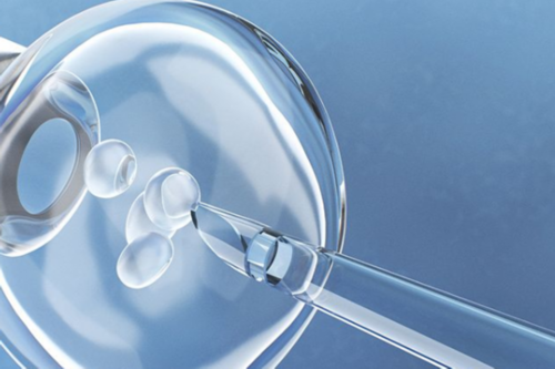 试管婴儿囊胚等级如何判断？-供卵代生服务