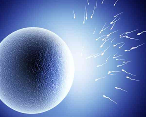 卵巢囊肿会引起闭经吗