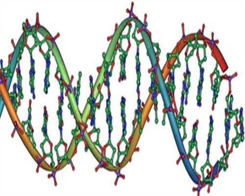 排卵14天试纸测结果白板是不是多半没戏了，排卵14天白板是没怀-公立医院供卵