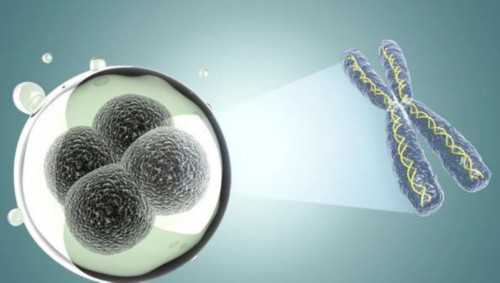 令人意外！洞口代孕生儿子＂吝啬鬼＂