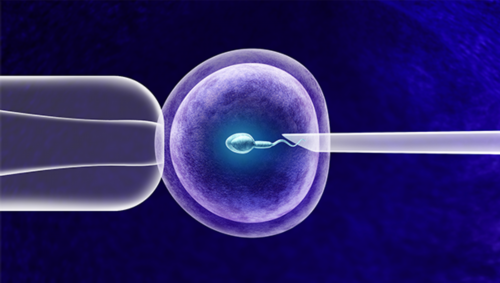 2026长沙三代试管生男孩费用？附最新助孕费用及成功率参考
