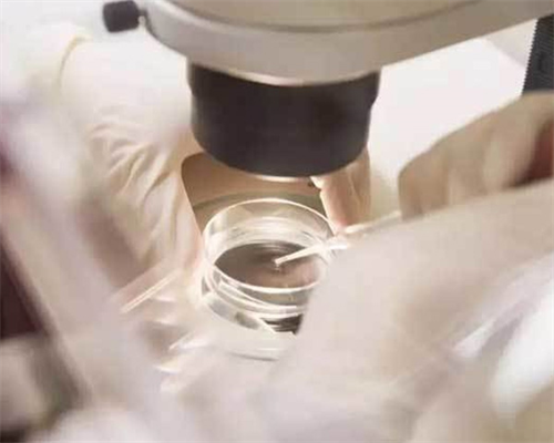 试管婴儿移植后几次出血？试管移植后几天出血？-形婚试管生子