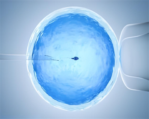 排卵后大腿根部内侧疼（排卵期间左侧大腿内侧有胀痛感）-供卵试管中心