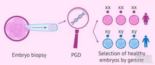 热点！合法代孕一般多少钱＂巧言令色＂