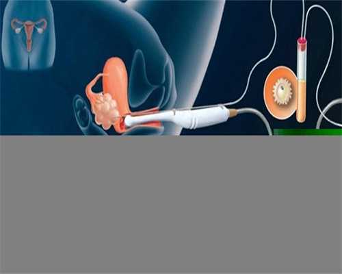 怀孕初期晚上体温-代孕咨询