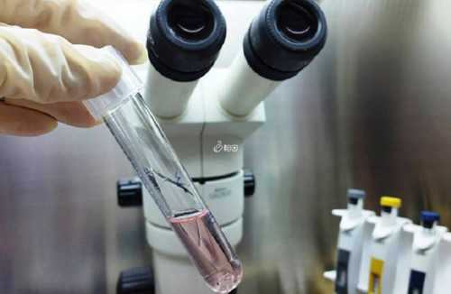 凡尔赛！男男可以试管生孩子＂时移俗易＂